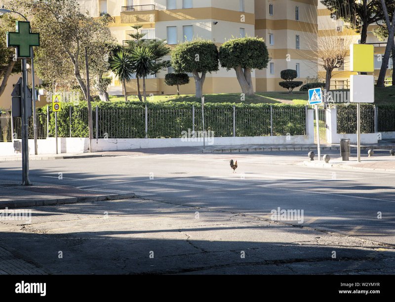 Chicken road casino a Italy